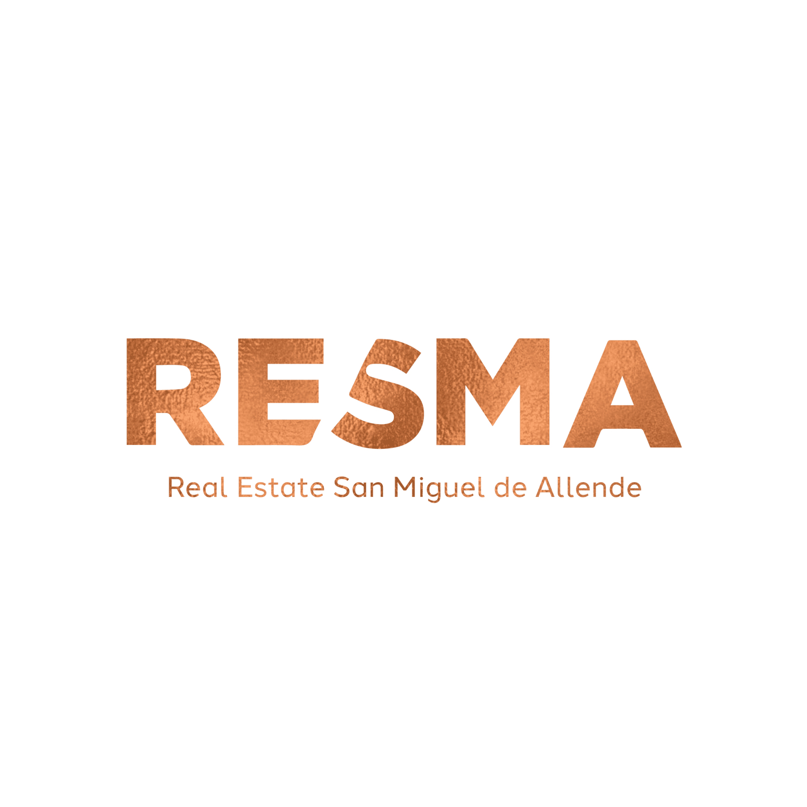 Asesor Inmobiliario